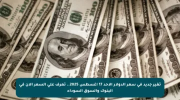 تغير جديد في سعر الدولار الأحد 17 أغسطس 2025.. تعرف على السعر الآن في البنوك والسوق السوداء